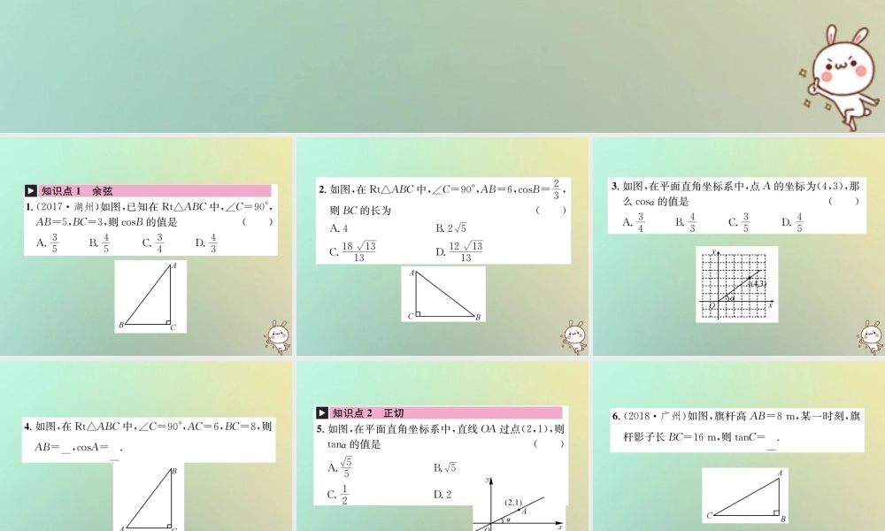 九年级数学下册 第二十八章 锐角三角函数 281 锐角三角函数 第2课时 锐角三角函数习题课件 (新版)新人教版 课件