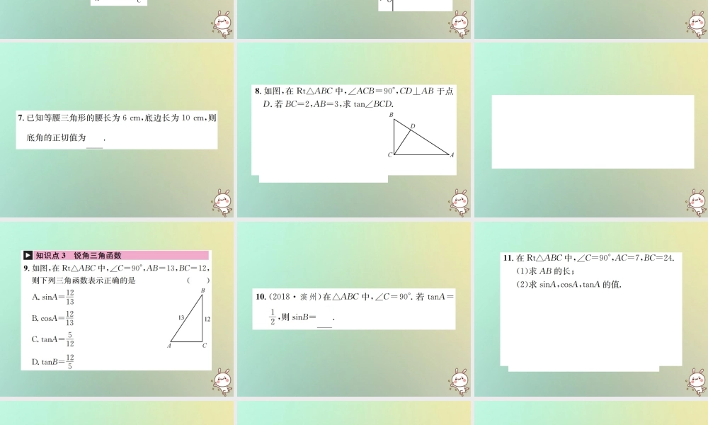 九年级数学下册 第二十八章 锐角三角函数 281 锐角三角函数 第2课时 锐角三角函数习题课件 (新版)新人教版 课件
