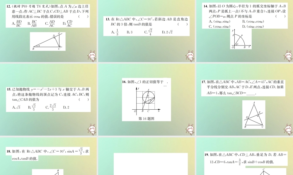 九年级数学下册 第二十八章 锐角三角函数 281 锐角三角函数 第2课时 锐角三角函数习题课件 (新版)新人教版 课件