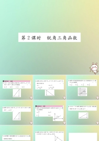 九年级数学下册 第二十八章 锐角三角函数 281 锐角三角函数 第2课时 锐角三角函数习题课件 (新版)新人教版 课件
