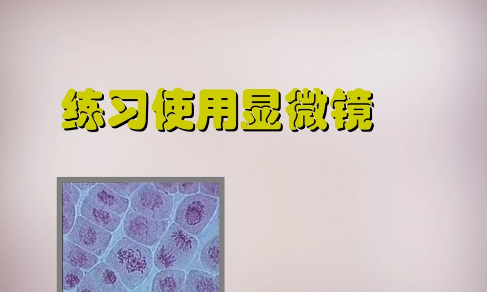 七年级生物上册 第二单元 第一章 第1节(练习使用显微镜)课件1 (新版)新人教版 课件