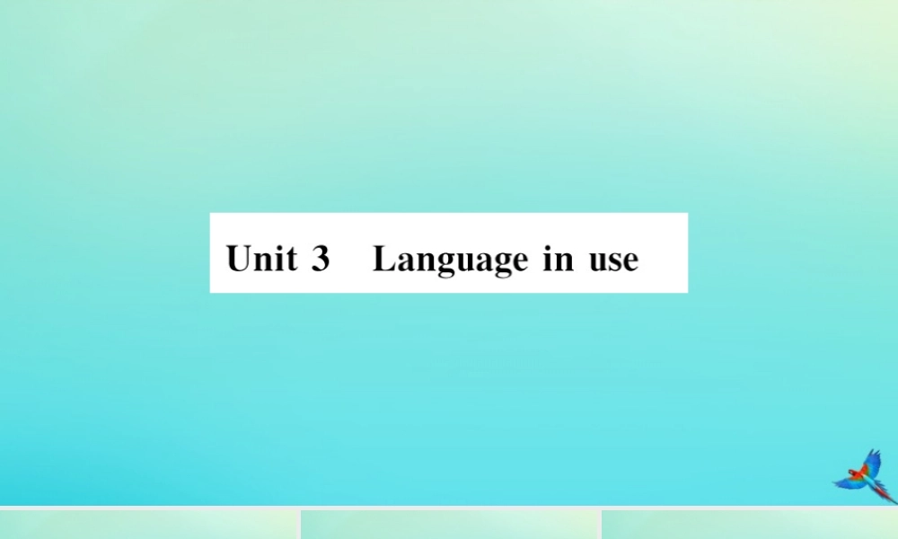 九年级英语上册 Module 6 Problems Unit 3 Language in use(小册子)习题课件 (新版)外研版 课件