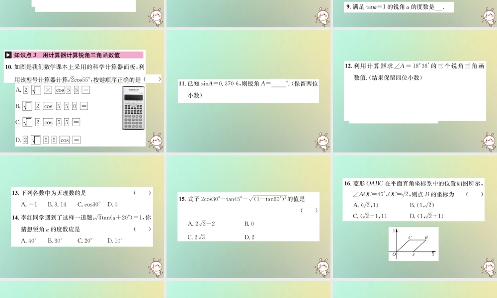 九年级数学下册 第二十八章 锐角三角函数 281 锐角三角函数 第3课时 特殊角的锐角三角函数习题课件 (新版)新人教版 课件