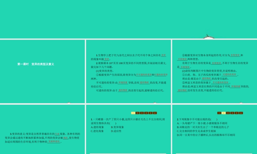 八年级生物上册 第四单元 第四章 第四节 生物的变异(第1课时 变异的类型及意义)课件 (新版)济南版 课件