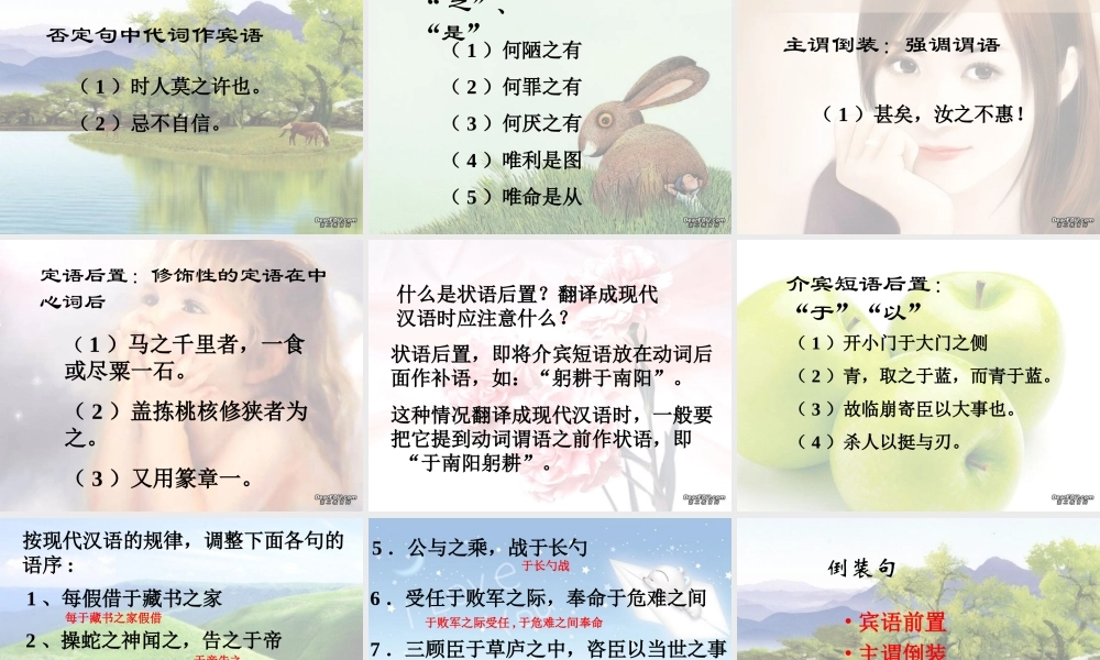 九年级语文文言文复习课件 人教版 课件