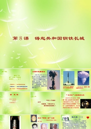 八年级历史下册 2.8 铸起共和国钢铁长城课件 北师大版 课件