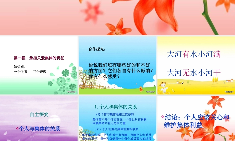 九年级政治 第二课 在承担责任中成长 课件