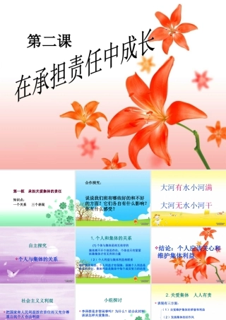 九年级政治 第二课 在承担责任中成长 课件
