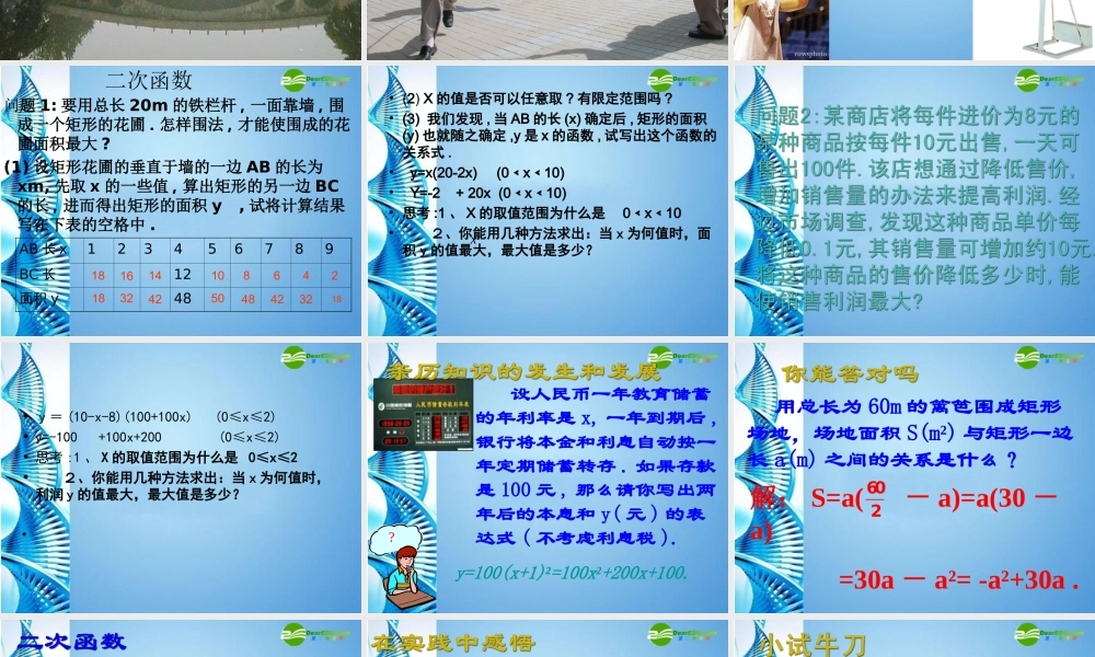 九年级数学下册 271 二次函数 华东师大版 课件