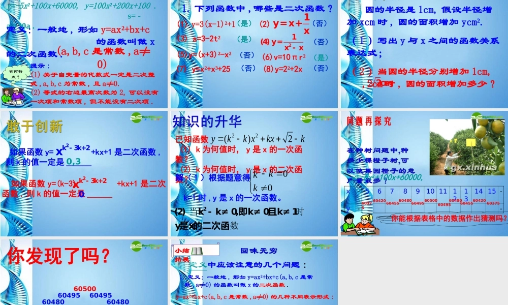 九年级数学下册 271 二次函数 华东师大版 课件