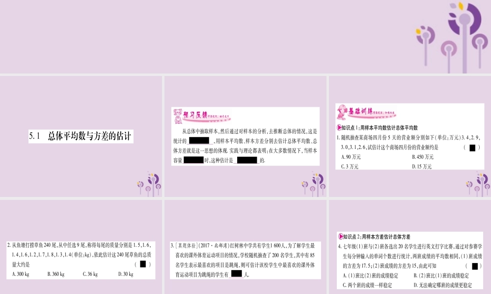 九年级数学上册 第5章 用样本推断总体 51 总体平均数与方差的估计作业课件 (新版)湘教版 课件