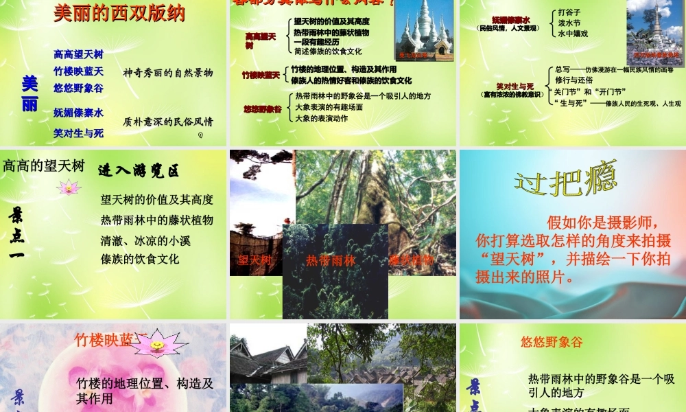 八年级语文上册 第四单元 19 美丽的西双版纳课件 (新版)苏教版 课件