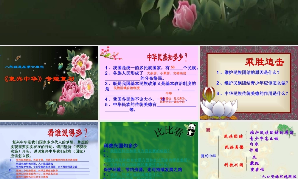 八年级政治下册 复兴中华课件 苏教版 课件