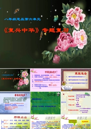 八年级政治下册 复兴中华课件 苏教版 课件