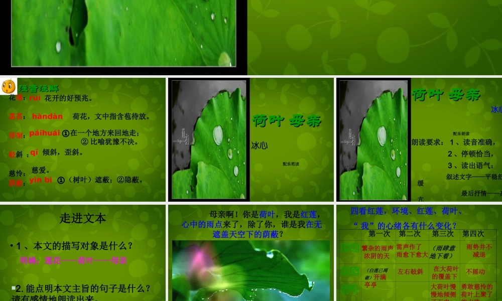 中学七年级语文上册 4(散文诗两首)荷叶 母亲课件 (新版)新人教版 课件