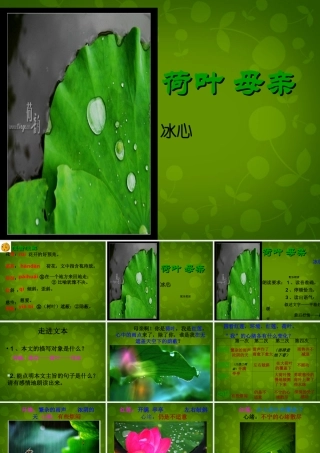 中学七年级语文上册 4(散文诗两首)荷叶 母亲课件 (新版)新人教版 课件
