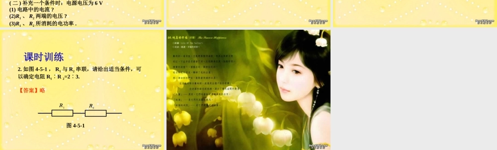 九年级物理计算题专题训练第五课时设计型计算 新课标 人教版 课件
