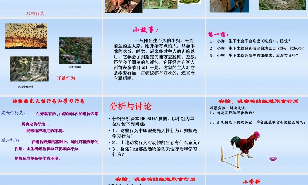 七年级生物上册 第二章生物圈中的动物第二节动物的行为课件2(2) 济南版 课件