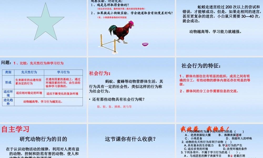 七年级生物上册 第二章生物圈中的动物第二节动物的行为课件2(2) 济南版 课件