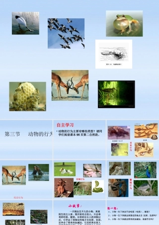 七年级生物上册 第二章生物圈中的动物第二节动物的行为课件2(2) 济南版 课件
