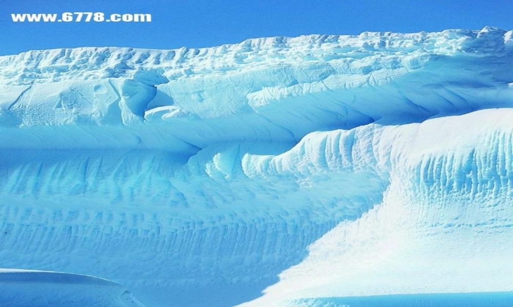 八年级语文下册 第三单元之(旅鼠之谜) 课件 新人教版 课件