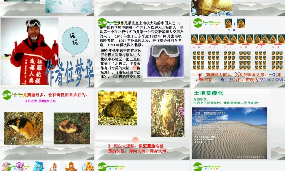 八年级语文下册 第三单元之(旅鼠之谜) 课件 新人教版 课件