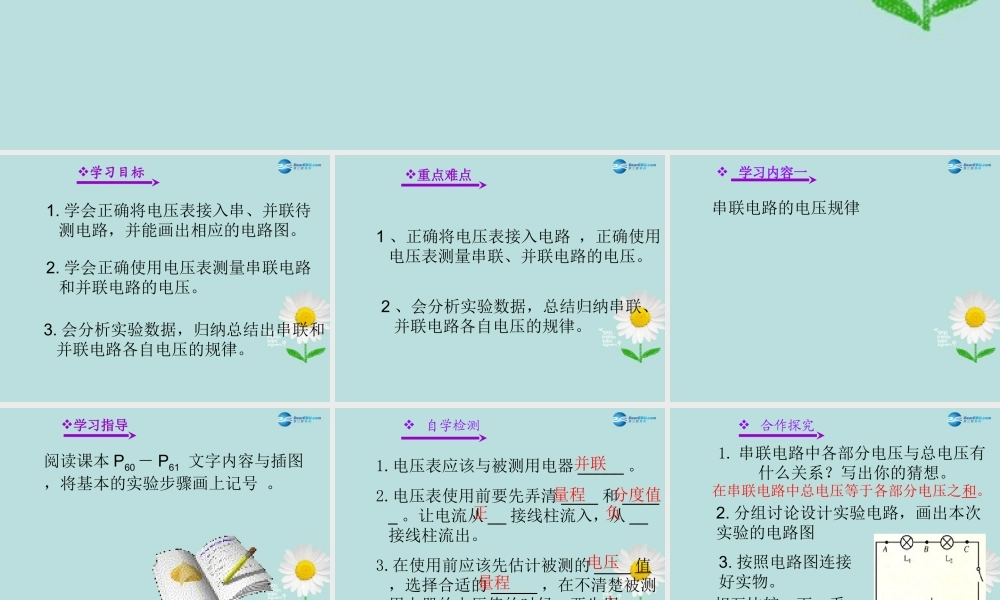 九年级物理全册 162 串并联电路中电压的规律课件 (新版)新人教版 教案-2