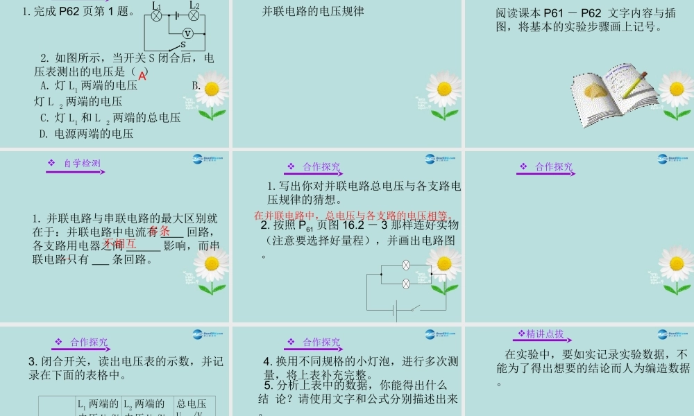 九年级物理全册 162 串并联电路中电压的规律课件 (新版)新人教版 教案-2