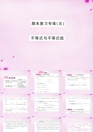七年级数学下学期期末复习专练(五) 不等式与不等式组课件 (新版)新人教版 课件