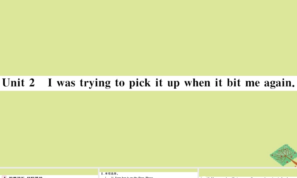 八年级英语上册 Module 8 Accidents Unit 2 I was trying to pick it up when it bite me again作业课件 (新版)外研版 课件