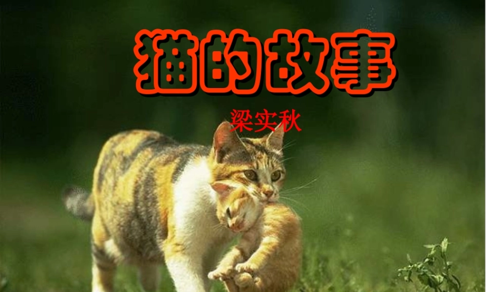 七年级语文上册(猫的故事)教学课件 北师大版 课件