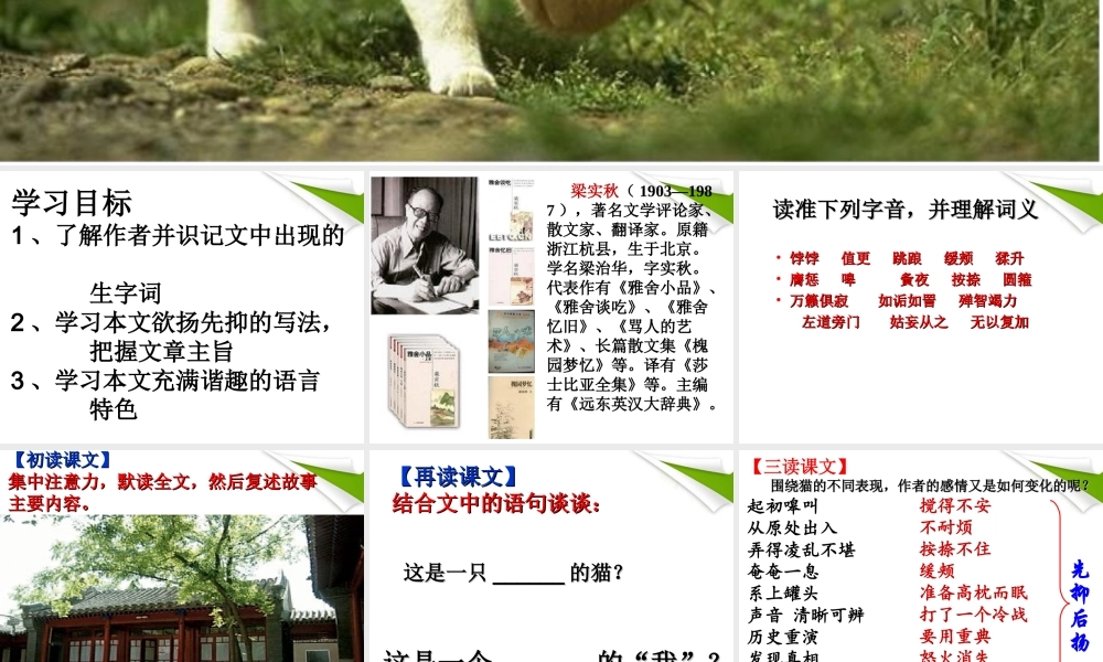 七年级语文上册(猫的故事)教学课件 北师大版 课件