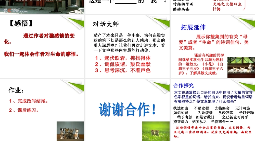 七年级语文上册(猫的故事)教学课件 北师大版 课件