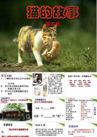七年级语文上册(猫的故事)教学课件 北师大版 课件