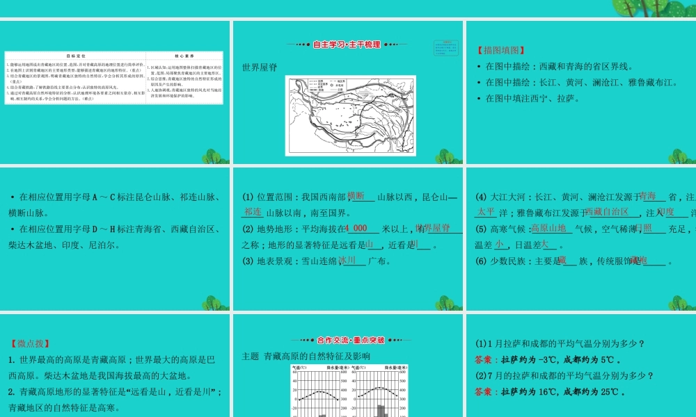 八年级地理下册 第九章 第一节 自然特征与农业(一世界屋脊)习题课件(新版)新人教版 课件