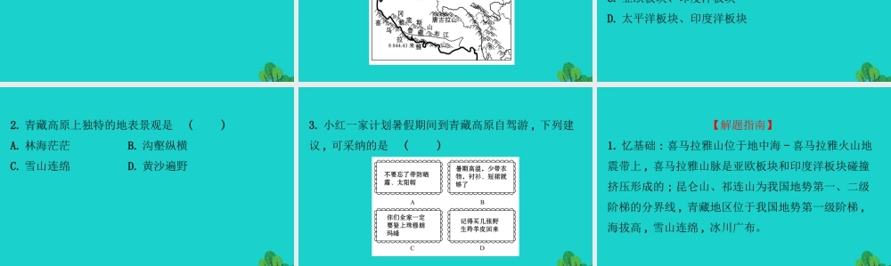 八年级地理下册 第九章 第一节 自然特征与农业(一世界屋脊)习题课件(新版)新人教版 课件