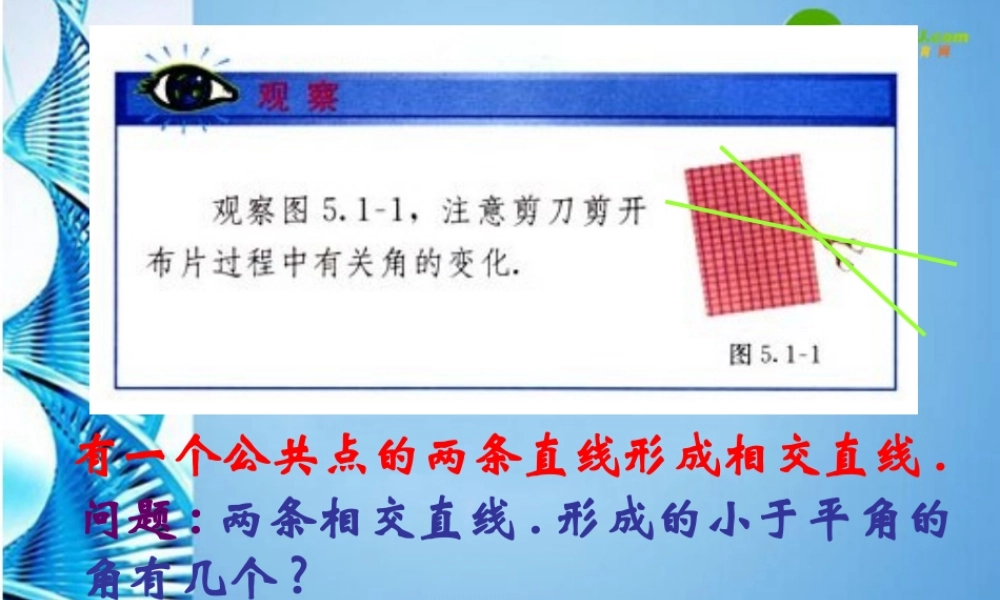 七年级数学下册 相交线课件 人教新课标版 课件
