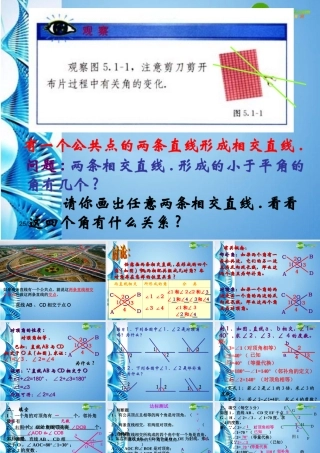 七年级数学下册 相交线课件 人教新课标版 课件