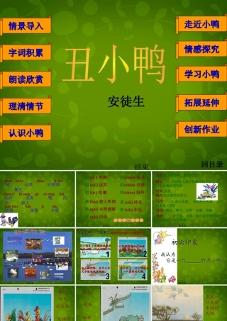 中学七年级语文下册(第3课 丑小鸭)课件 新人教版 课件