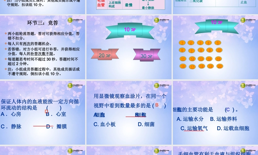 七年级生物下册 第四章 人体内物质的运输复习课件 新人教版 课件