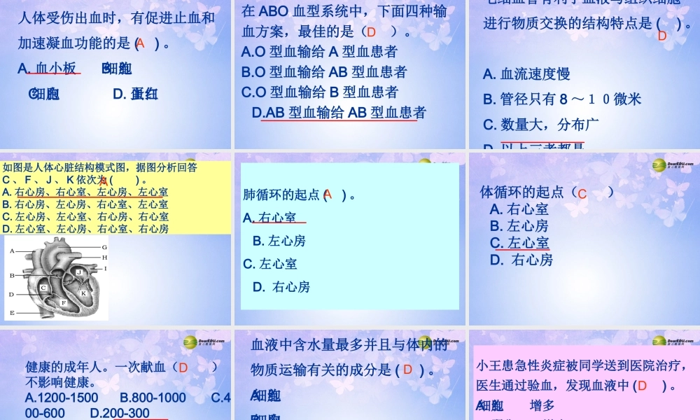 七年级生物下册 第四章 人体内物质的运输复习课件 新人教版 课件