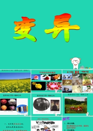 八年级生物下册 第六单元 生物的繁衍和发展 第二章 生物的遗传和变异 6.2.2 变异课件(新版)冀教版 课件