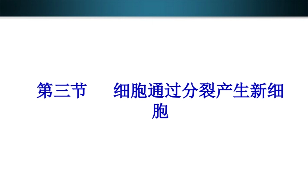 七年级生物上册 细胞通过分裂产生新细胞课件 上教版 课件