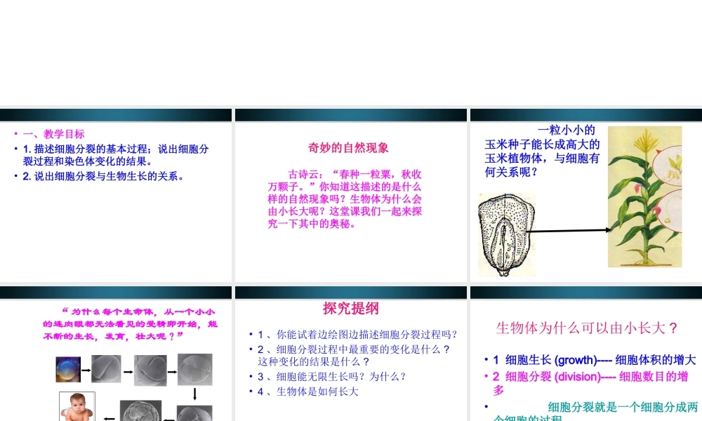 七年级生物上册 细胞通过分裂产生新细胞课件 上教版 课件