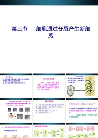 七年级生物上册 细胞通过分裂产生新细胞课件 上教版 课件