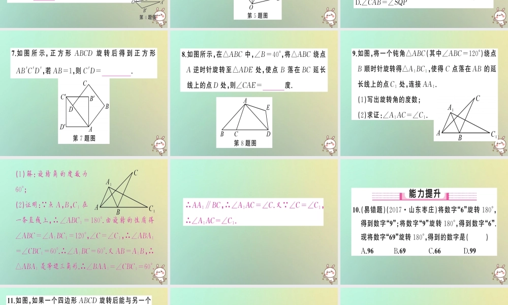 九年级数学上册 第二十三章 旋转 231 图形的旋转 第1课时 旋转的概念与性质习题课件 (新版)新人教版 课件