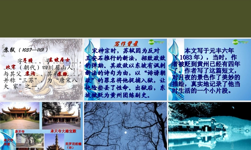 八年级语文下册 第28课(记承天寺夜游)课件 北京课改版 课件