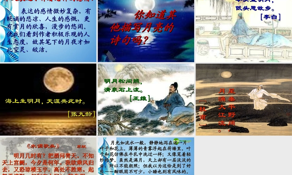 八年级语文下册 第28课(记承天寺夜游)课件 北京课改版 课件