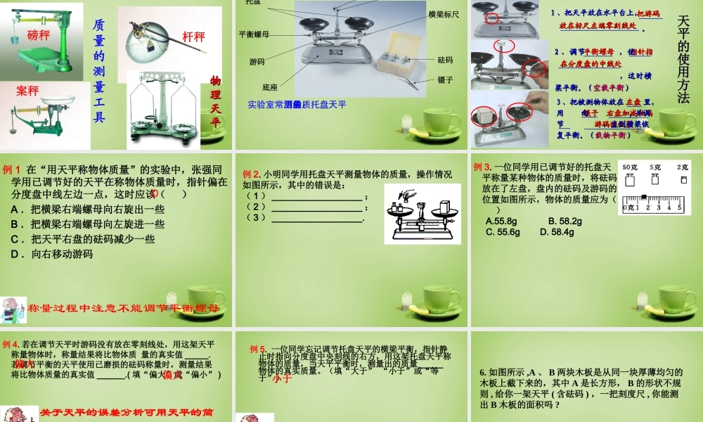八年级物理全册 第五章 质量与密度复习课件 (新版)沪科版 课件