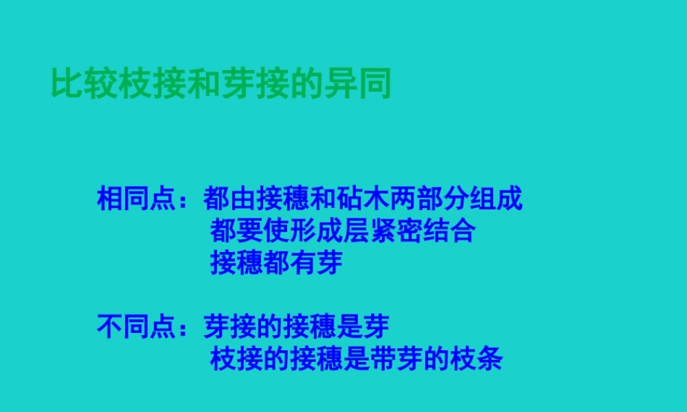 八年级生物上册 第十章 第四节 生物生殖的多种方式 植物的营养繁殖 讨论答案课件 (新版)北京版 课件